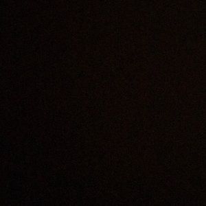 Meet your Posher, Alonzo